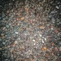 آلوکوشتی طبیعی بدون سم پاشی تازه