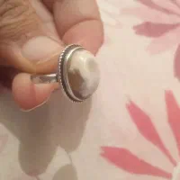 برد اصلی و یک جفت مهره با ارزش