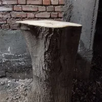 کنده گردو|کافیشاپ و رستوران|میاندوآب, |دیوار