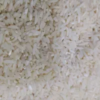 برنج هاشمی سرعلگه یک داست