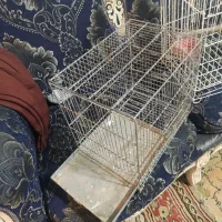 قفس سهره و مینا تمیز