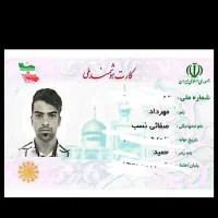 کیف کارت گمشده
