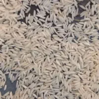 برنج هاشمی اصیل و یکدست