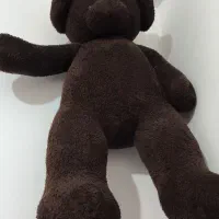 خرس تدی بر