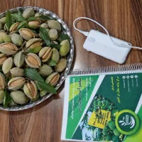 بادام مخصوص مناطق کم آب دیمی