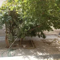 کهندژ ۱۷۰مترکلنگی دربست قابل سکونت