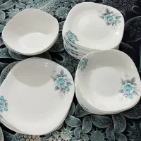 آرکوپال اصل دونه ای ۱۰۰