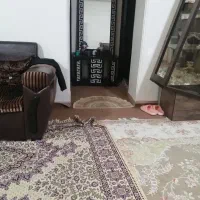 باسلام آپارتمان اجاره ای مخصوص عروس و داماد|اجارهٔ آپارتمان|کرج, خرمدشت|دیوار