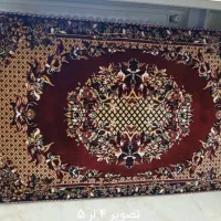 پشتی جفت سالم