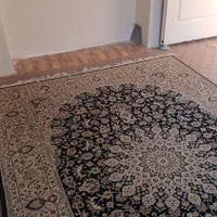 سوئیت روزانه،هفتگی،ماهانه