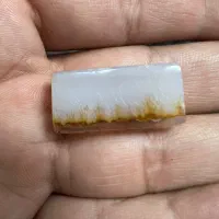 نگین شجر قائنات گل منظره