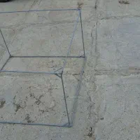 لانه جوجه بزرگ