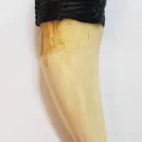 کلکسیونی|کلکسیون اشیاء عتیقه|تهران, مینای جنوبی|دیوار