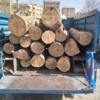 خریدچوب برش درخت