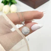 مدال  مدال نقره|جواهرات|اردبیل, |دیوار