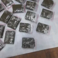 فروش سبزی خورشتی پلوی ماهی و آشی  خانگی|خوردنی و آشامیدنی|باغ ملک, |دیوار