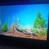 تلویزیون ال جی 55 اینچ نقد و اقساط