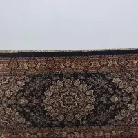 دو جفت پشتی