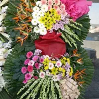 آنلاین گل تاج گل تاجگل گل فروشی