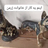 سگ ژرمن برنز برنزی