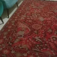 فرش ۶ متری   قرمز|فرش|زنجان, |دیوار