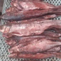 پروتئین|خوردنی و آشامیدنی|صومعهسرا, |دیوار