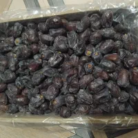 فروش انواع خرما عمده با بهترین کیفیت