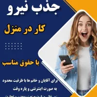 کاردر منزل برای بانوان،