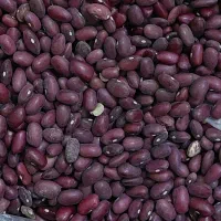 محصولات محلی لنجون|خوردنی و آشامیدنی|ایذه, |دیوار