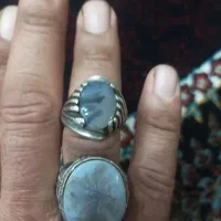 انگشترشجرقاعنات|جواهرات|مهریز, |دیوار