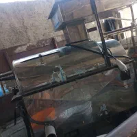 پخش گوجه و آبگیری گوجه درب منزل
