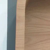 ۵ نفر نیروی ساده خانم ر کارگاه رنگکاری ام دی اف