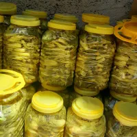 ترشی‌بیلهر