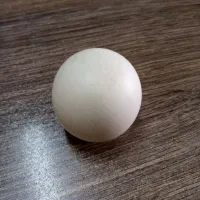 سنگ آسیاب|کلکسیون اشیاء عتیقه|سبزوار, پیام|دیوار