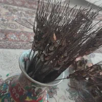 گل رز برنجی|گل مصنوعی|اندیشه, اندیشه فاز ۱|دیوار