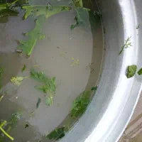 سبزی ابپز