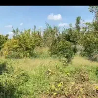 زمین مسکونی با مجوز ساخت نقدو اقساط