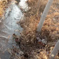 باغ در دیزیج جمشید خان|فروش زمین و ملک کلنگی|خوی, |دیوار