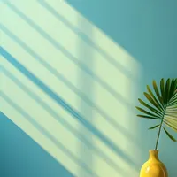 استخدام خانم برای ادمینی