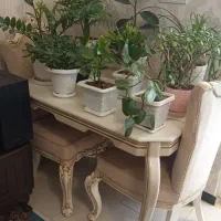 مبلمان ۷نفره به همراه میز ناهار خوری۴نفره در حد نو|مبلمان خانگی و میز عسلی|گلپایگان, |دیوار