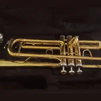 ترومپت|سازهای بادی|قم, نوقطار|دیوار