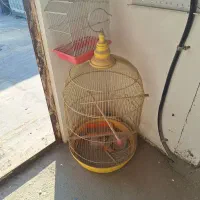 قفس در حد پرنده