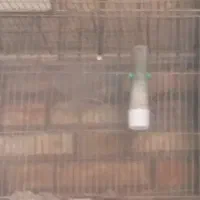 فروش ۳ عدد قفس قناری