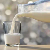 فروش کره ، پنیر و دوغ گوسفندی