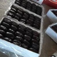 فروش خرمادوردیف