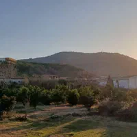 فروش ۱۹۶۵ متری