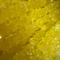 نیرو کار خانوم