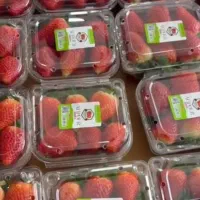 شاتوت انبه|خوردنی و آشامیدنی|تهران, وصفنارد|دیوار