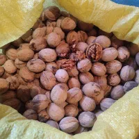 گردو پوست کاغذی درجه یک
