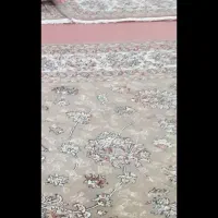 فرش ۶متری گردویی